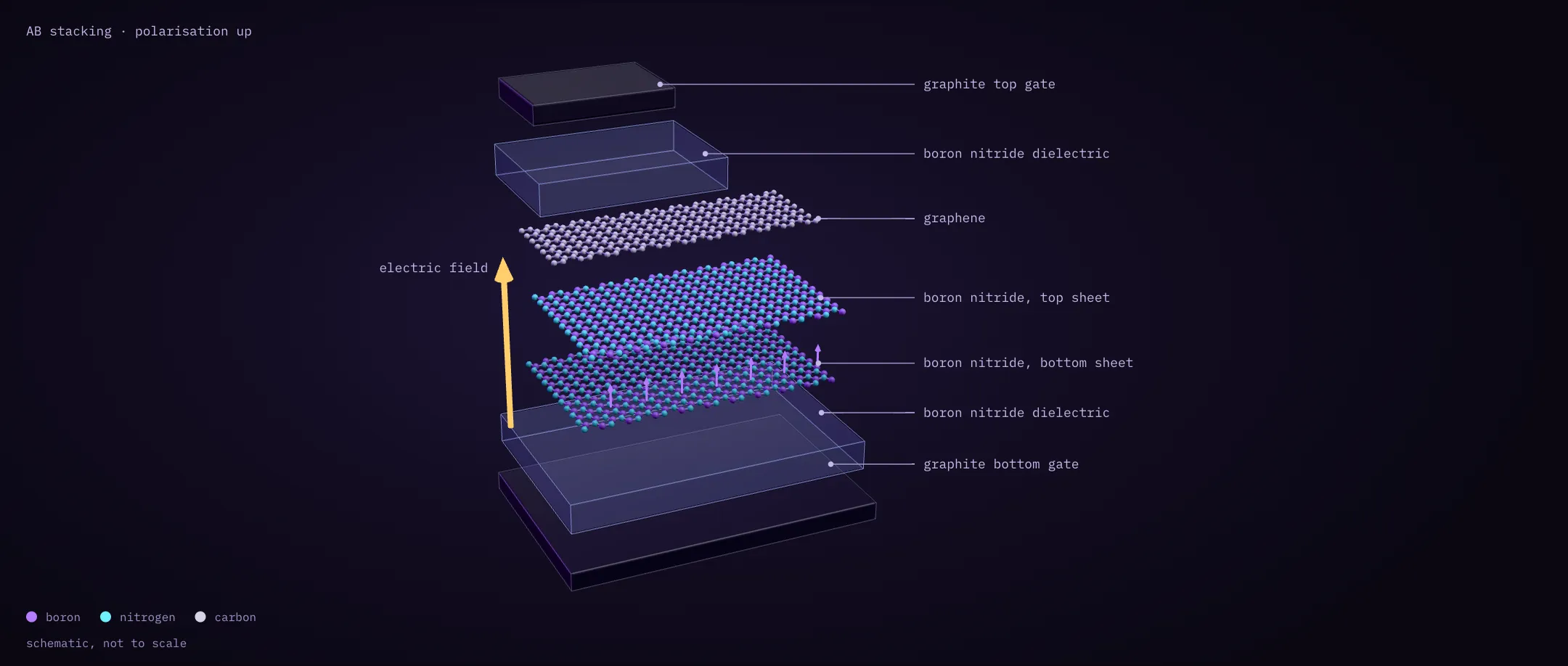 Schematic van der Waals device stack with graphite gates, boron nitride dielectrics, a graphene sensor and a ferroelectric boron nitride bilayer.